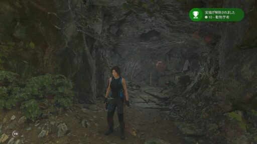 Shadow of the Tomb Raider（その8）気になってた実績解除